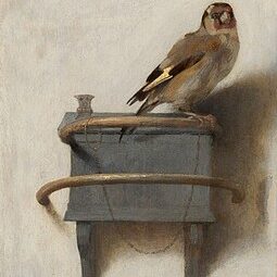 puttertje Mauritshuis Den Haag Mauritshuiswandeling