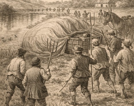 boeren op het weiland